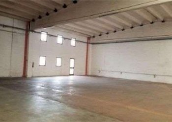 Capannone Bomporto - foto 4