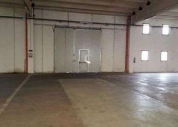 Capannone Bomporto - foto 6