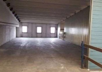 Capannone Bomporto - foto 7