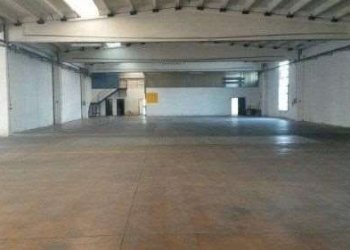 Capannone Bomporto - foto 9