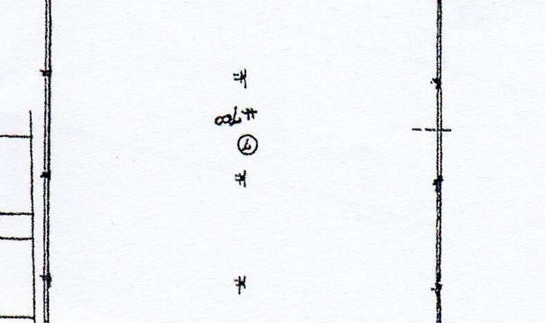 Capannone Soliera - foto 2