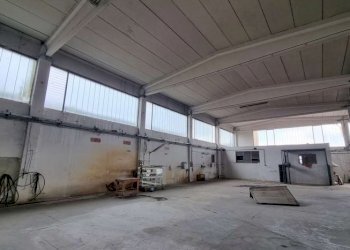 Capannone Soliera - foto 3