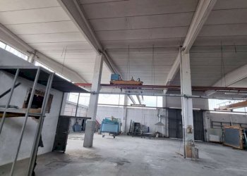 Capannone Soliera - foto 5