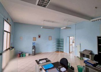 Capannone Soliera - foto 8