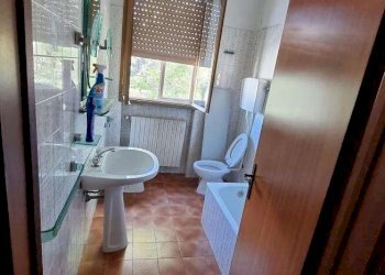 Capannone Soliera - foto 13