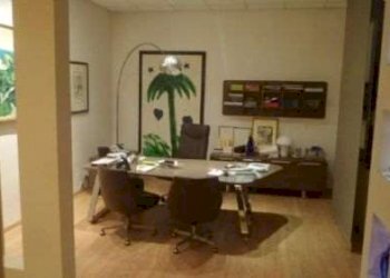 Capannone Carpi - foto 3