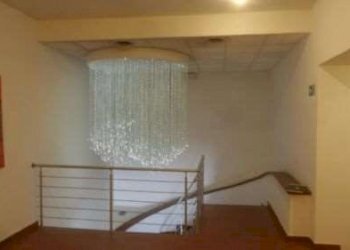 Capannone Carpi - foto 5