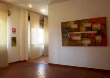 Capannone Carpi - foto 7