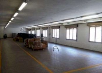 Capannone Carpi - foto 9