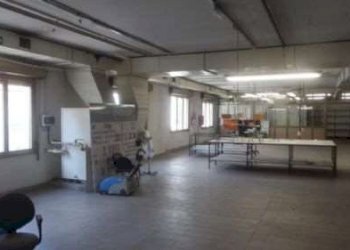 Capannone Carpi - foto 10