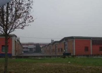 Capannone Reggio nell'Emilia - foto 2