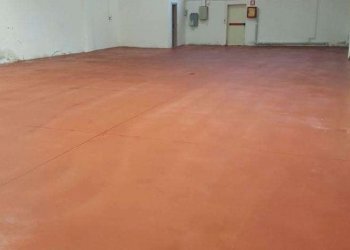 Capannone Reggio nell'Emilia - foto 6