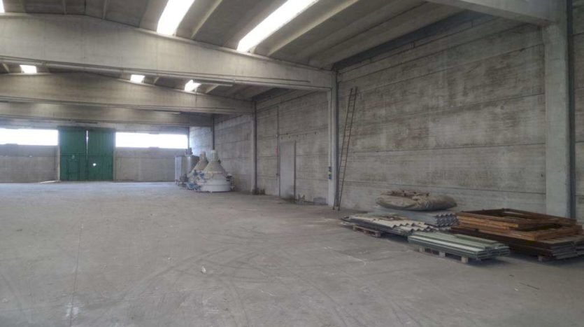 Shed Modena - photo 3