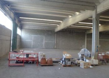 Capannone Modena - foto 7