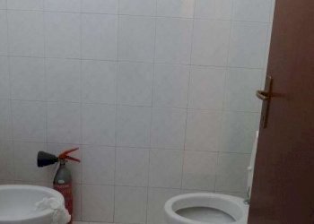 Shed Spilamberto - photo 4