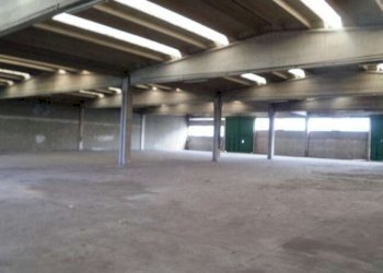 Shed Spilamberto - photo 5