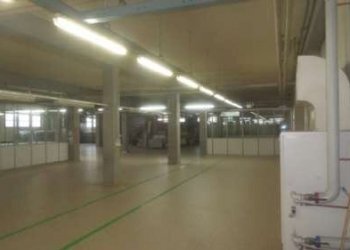 Shed Correggio - photo 3