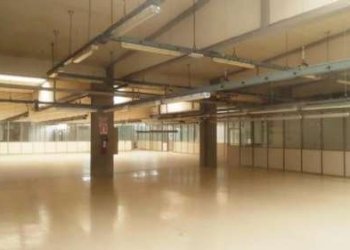 Shed Correggio - photo 4