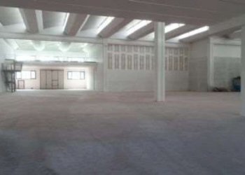 Capannone Modena - foto 5