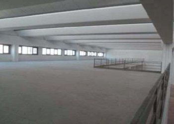 Capannone Modena - foto 8