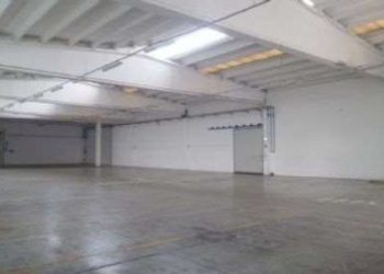 Capannone Bomporto - foto 6