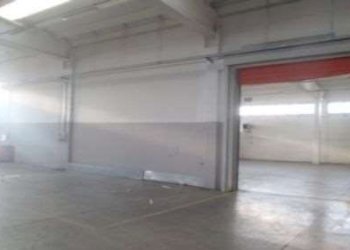 Capannone Bomporto - foto 7