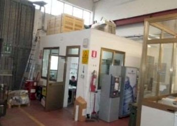 Capannone Campogalliano - foto 4