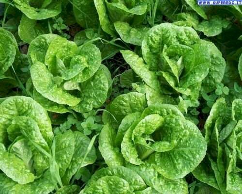 Laboratory Campogalliano - photo 2