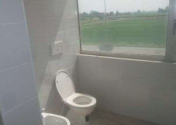 Shed Correggio - photo 3