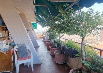 Attic Modena - photo 12