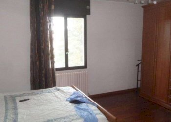 Capannone Soliera - foto 6