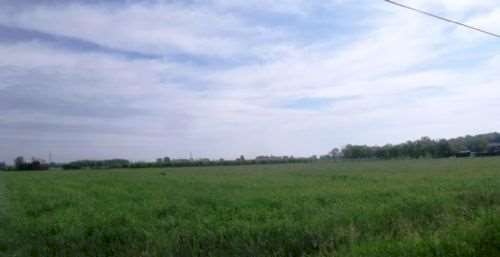 Agricultural land Modena - photo 1