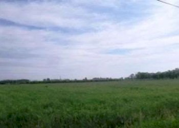 Terreno agricolo Modena - foto 1