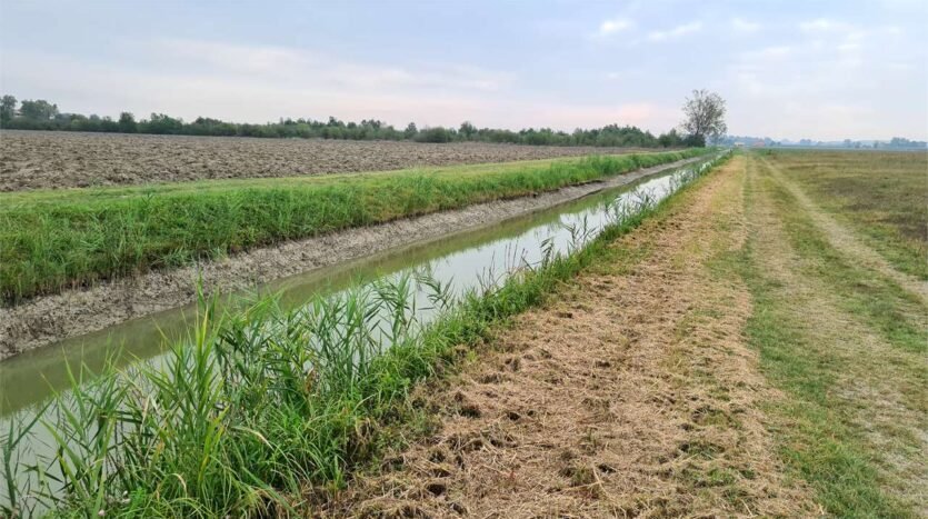 Agricultural land Carpi - photo 1