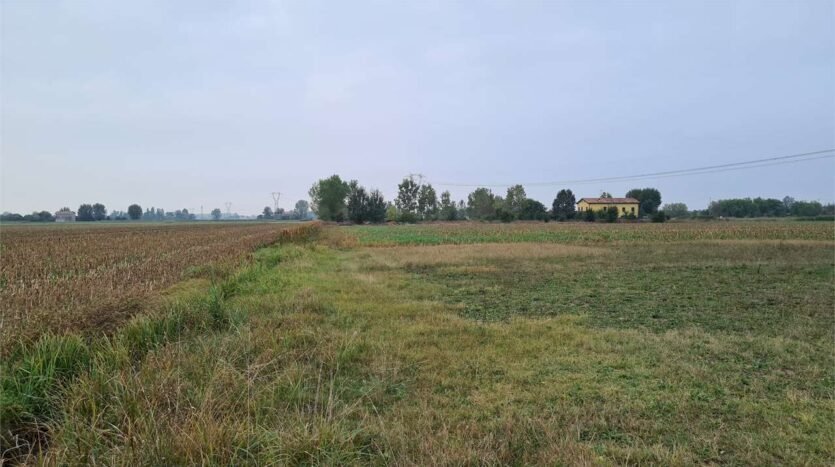 Agricultural land Carpi - photo 2