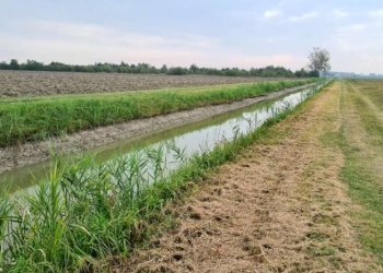 Terreno agricolo Carpi - foto 1