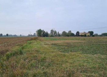 Terreno agricolo Carpi - foto 2