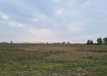 Terreno agricolo Carpi - foto 3