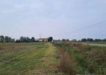 Terreno agricolo Carpi - foto 4