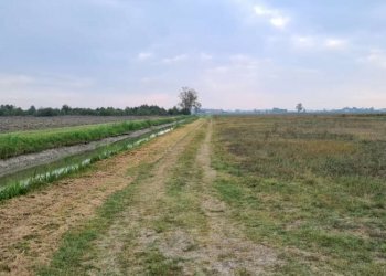 Terreno agricolo Carpi - foto 5