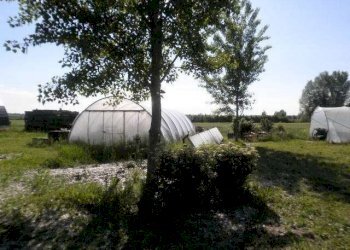 Farm Soliera - photo 4