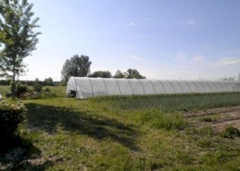 Farm Soliera - photo 5