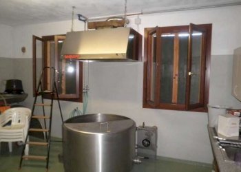 Farm Soliera - photo 14