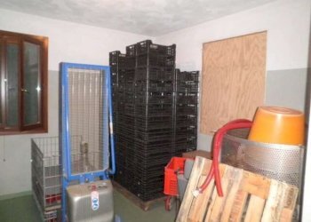 Farm Soliera - photo 15