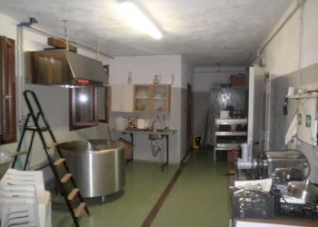 Farm Soliera - photo 16