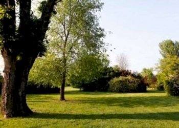 Casale Modena - foto 4