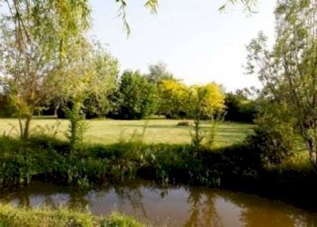 Casale Modena - foto 5