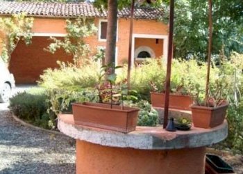 Casale Modena - foto 12