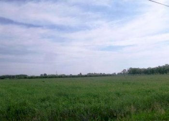 Building land Soliera - photo 1