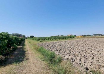 Terreno agricolo Soliera - foto 4